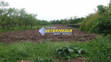 teren-intravilan-de-vanzare-in-zona-oarda