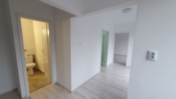 ultracentral-2cam-cf1dec-et1-renovat-recent-55000-euro