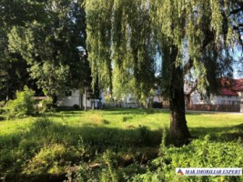 teren-intravilan-8070-mp-de-vanzare-rucar-arges-1