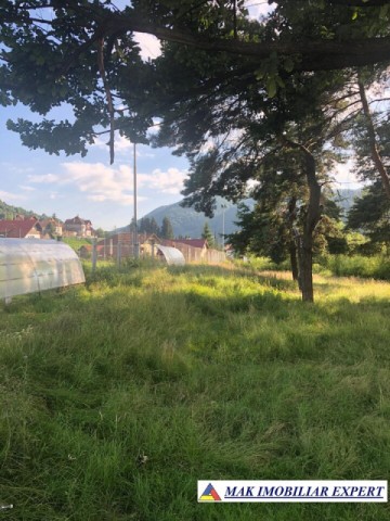 teren-intravilan-8070-mp-de-vanzare-rucar-arges-3