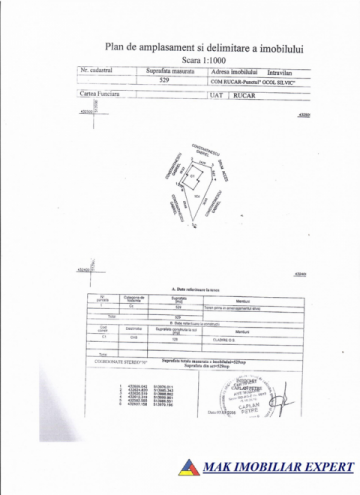 teren-intravilan-8070-mp-de-vanzare-rucar-arges-11