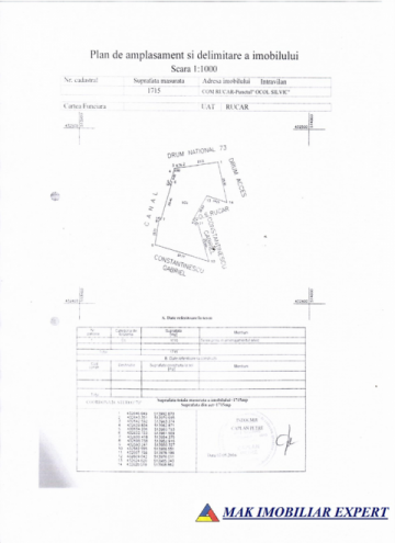 teren-intravilan-8070-mp-de-vanzare-rucar-arges-13