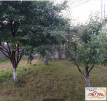 casa-3-camere-teren-800-mp-campulung-muscel-zona-flamanda-pret-120000-euro-7