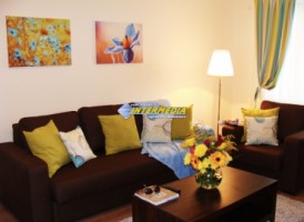 apartament-lux-cu-1-dormitor-si-living-open-space-inchiriere-cetate-3