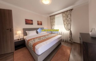 apartament-lux-cu-1-dormitor-si-living-open-space-inchiriere-cetate-5