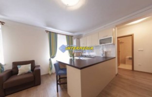 apartament-lux-cu-1-dormitor-si-living-open-space-inchiriere-cetate-7