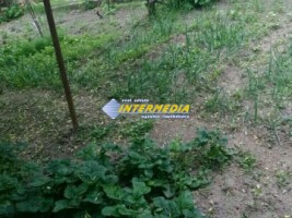 casa-de-vanzare-4-camere-cu-600-mp-teren-si-toate-utilitatile-strada-asfaltata-alba-iulia-zona-centru-3