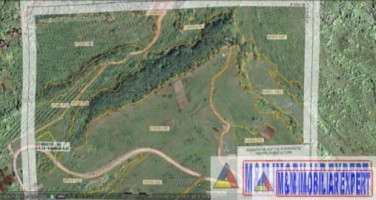 teren-extravilan-55-ha-de-vanzare-in-berevoiesti-ideal-pentru-investitii-agricole-1