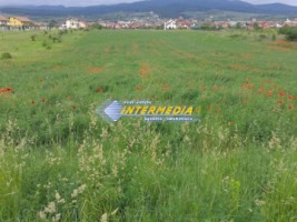 teren-intravilan-4300-mp-de-vanzare-alba-iulia-zona-cetate-2