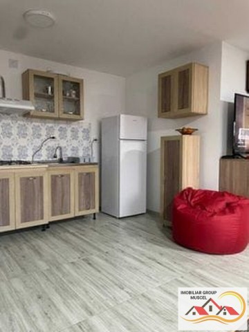 casa-de-vacanta-3-camere-suprafata-80-mp-albestii-de-muscel-pret-98000-euro-neg-4