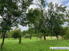 vila-4-camere-2-corpuri-teren-1600-mp-bughea-de-sus-14