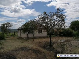 casa-3-camere-teren-2500-mp-de-vanzare-in-urechesti-bacau-ideala-pentru-locuinta-rurala-0