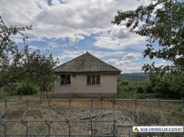 casa-3-camere-teren-2500-mp-de-vanzare-in-urechesti-bacau-ideala-pentru-locuinta-rurala-1