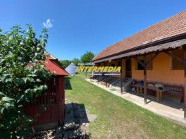casa-pe-parter-renovata-cu-pivnita-si-1375-mp-teren-de-vanzare-in-alba-iulia-zona-micesti-3