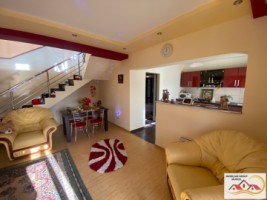 vila-p1-4-camere-108-mp-si-casa-batraneasca-teren-1035-mp-1000-metri-schitu-golesti-pret-104000-euro-5