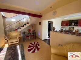 vila-p1-4-camere-108-mp-si-casa-batraneasca-teren-1035-mp-1000-metri-schitu-golesti-pret-104000-euro-7