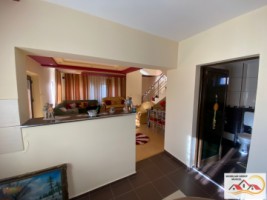 vila-p1-4-camere-108-mp-si-casa-batraneasca-teren-1035-mp-1000-metri-schitu-golesti-pret-104000-euro-13