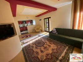 vila-p1-4-camere-108-mp-si-casa-batraneasca-teren-1035-mp-1000-metri-schitu-golesti-pret-104000-euro-16