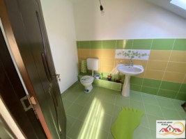 vila-p1-4-camere-108-mp-si-casa-batraneasca-teren-1035-mp-1000-metri-schitu-golesti-pret-104000-euro-36