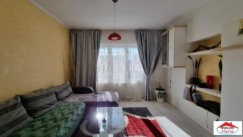 casa-cu-teren-14-ari-in-micula-noua-id-22661