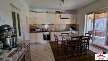 casa-cu-teren-14-ari-in-micula-noua-id-22661-2