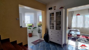 casa-cu-teren-14-ari-in-micula-noua-id-22661-5
