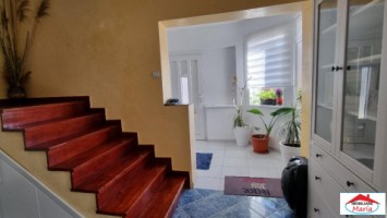 casa-cu-teren-14-ari-in-micula-noua-id-22661-6