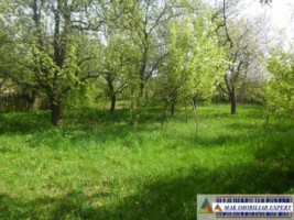 urgent-teren-5000-mp-intravilan-campulung-3