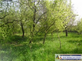 urgent-teren-5000-mp-intravilan-campulung-4