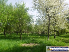 urgent-teren-5000-mp-intravilan-campulung-5