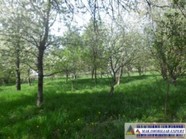 urgent-teren-5000-mp-intravilan-campulung-6