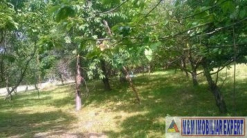 urgent-teren-5000-mp-intravilan-campulung-7