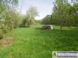 urgent-teren-5000-mp-intravilan-campulung-8