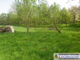 urgent-teren-5000-mp-intravilan-campulung-9