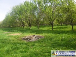 urgent-teren-5000-mp-intravilan-campulung-10