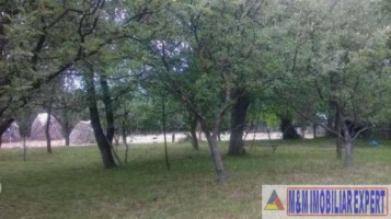 urgent-teren-5000-mp-intravilan-campulung-11