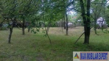 urgent-teren-5000-mp-intravilan-campulung-12