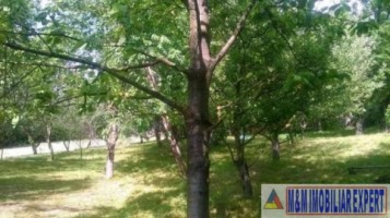 urgent-teren-5000-mp-intravilan-campulung-14