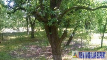 urgent-teren-5000-mp-intravilan-campulung-13