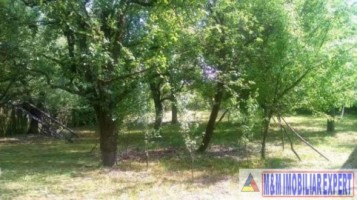 urgent-teren-5000-mp-intravilan-campulung-16
