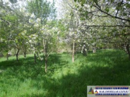 urgent-teren-5000-mp-intravilan-campulung-17