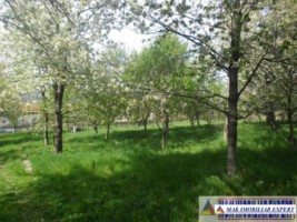 urgent-teren-5000-mp-intravilan-campulung-18