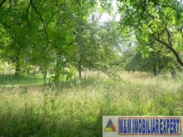 teren-intravilan-de-vanzare-1000-mp-in-valea-barbusii-campulung-muscel-arges-ideal-pentru-constructii-rezidentiale