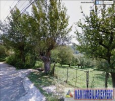 teren-livada-13-ha-extravilan-de-vanzare-in-valea-barbusii-campulung-muscel-arges-ideal-pentru-agricultura-sau-investitie-in-natura-1