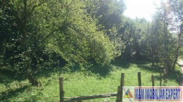 teren-intravilan-2574-mp-apa-sarata-v-barbusii-campulung-ag-4