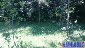 teren-intravilan-2574-mp-apa-sarata-v-barbusii-campulung-ag-5