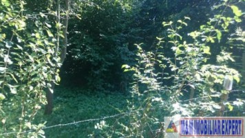 teren-intravilan-2574-mp-apa-sarata-v-barbusii-campulung-ag-8