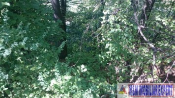 teren-intravilan-2574-mp-apa-sarata-v-barbusii-campulung-ag-11