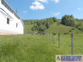 teren-intraextravilan-4800-mp-tarina-leresti-arges-potrivit-pentru-constructii-sau-agricultura