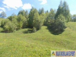 teren-intraextravilan-4800-mp-tarina-leresti-arges-potrivit-pentru-constructii-sau-agricultura-2